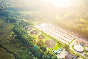 Prasa do osadu ściekowego